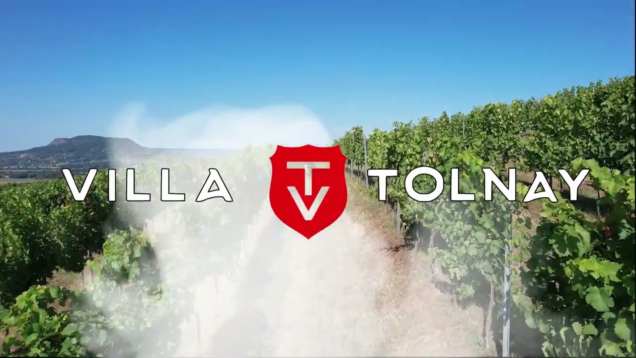 Villa Tolnay