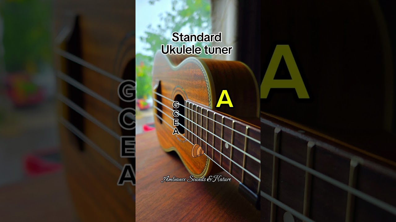 Your Standard Ukulele Tuner