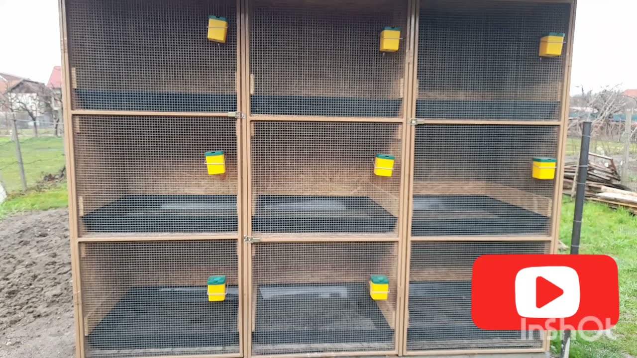 Iepuri| Cuști Pentru Tineret La Exterior