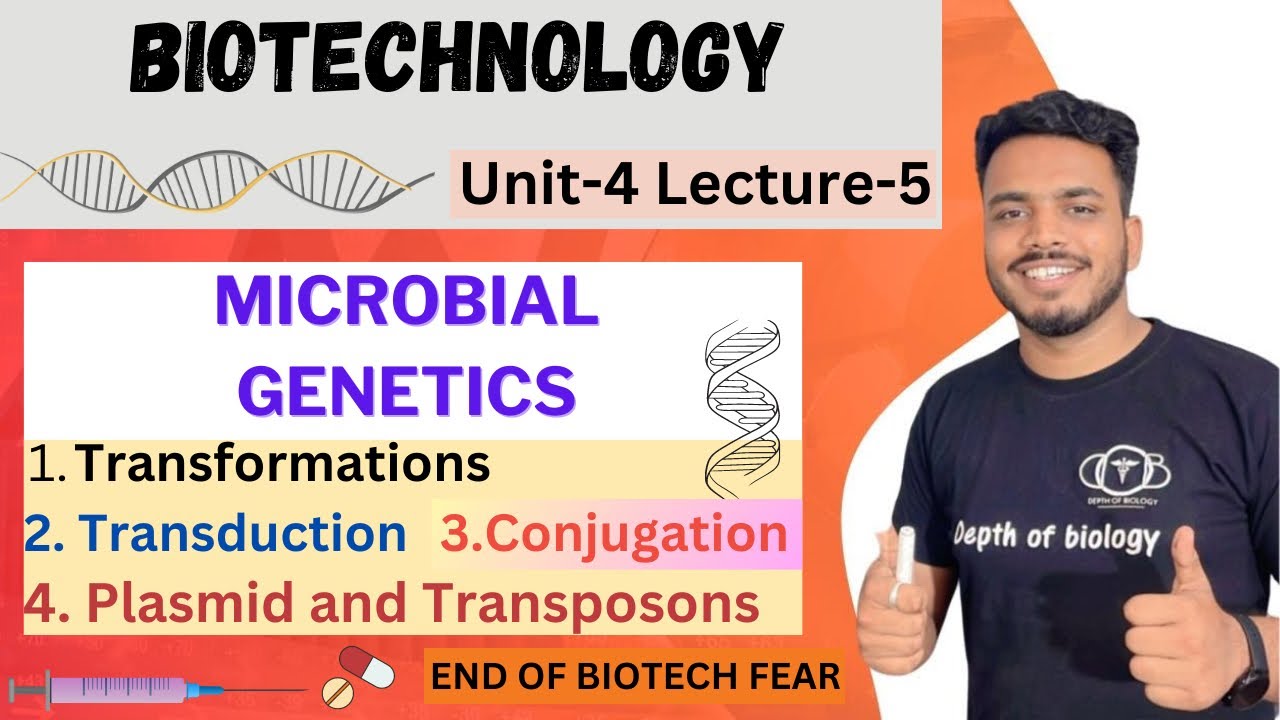 Microbial genetics || Transformation || transduction | conjugation | plasmid || Transposons #biotech