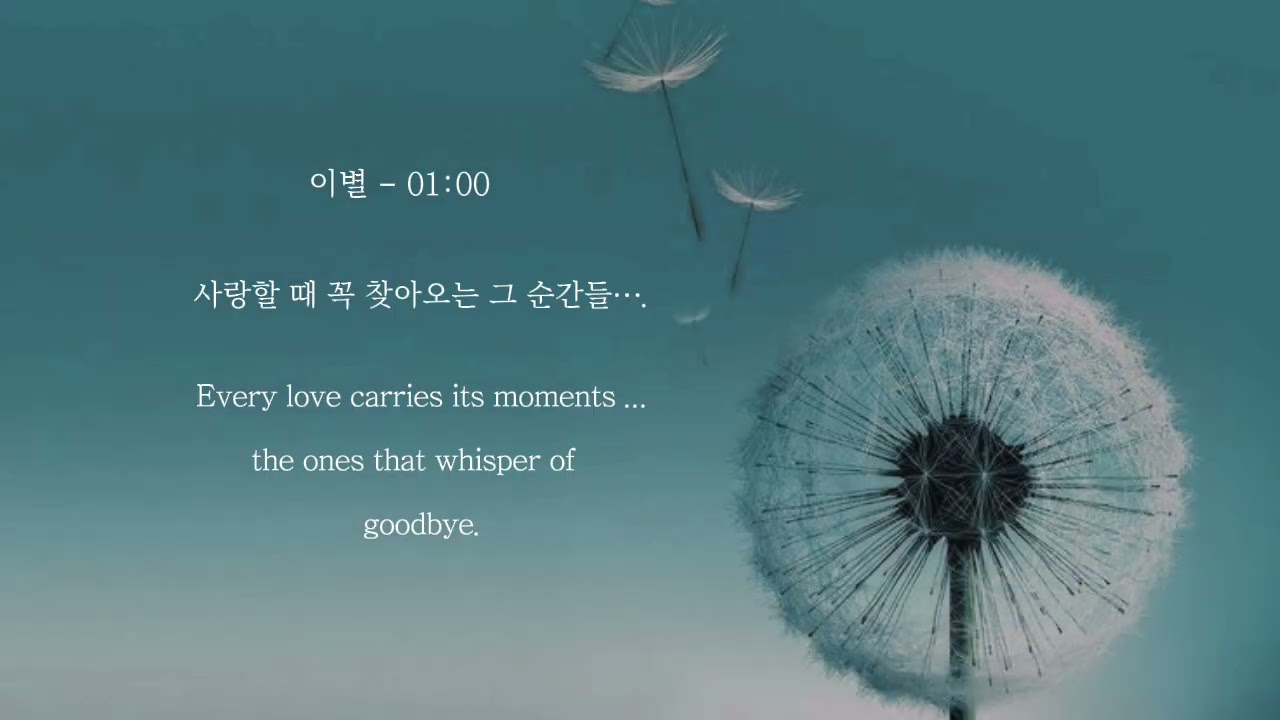 [playlist] 사랑할때 꼭 찾아오는 순간들 ..