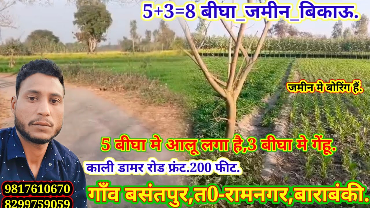 #5+3=8.Bigha jameen bikau/#काली #डामर रोड फ्रंट.200+फीट #तहसील रामनगर शहर बाराबंकी.9817610670सम्पर्क