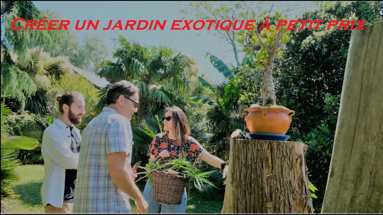 Créer un jardin exotique à  petit prix !!!