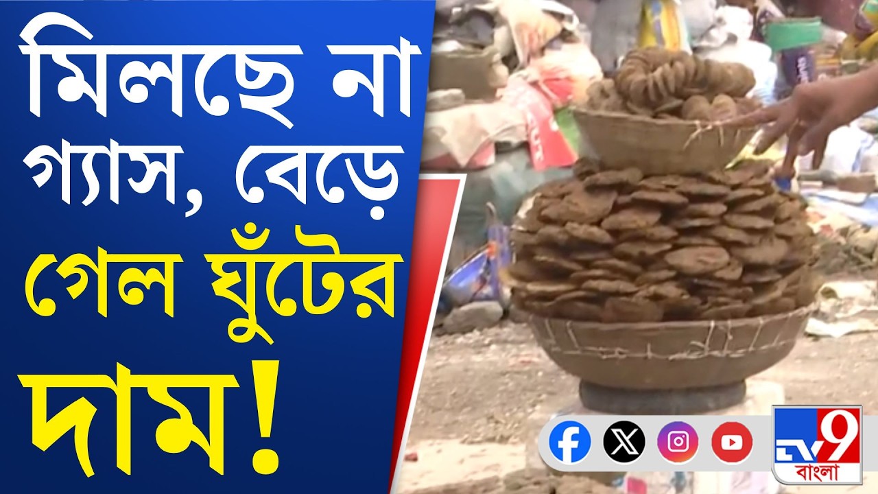 Cooking Gas Crisis, War Effect: রান্নাঘরে ফিরল কাঠ-কয়লা-ঘুঁটে-উনুন