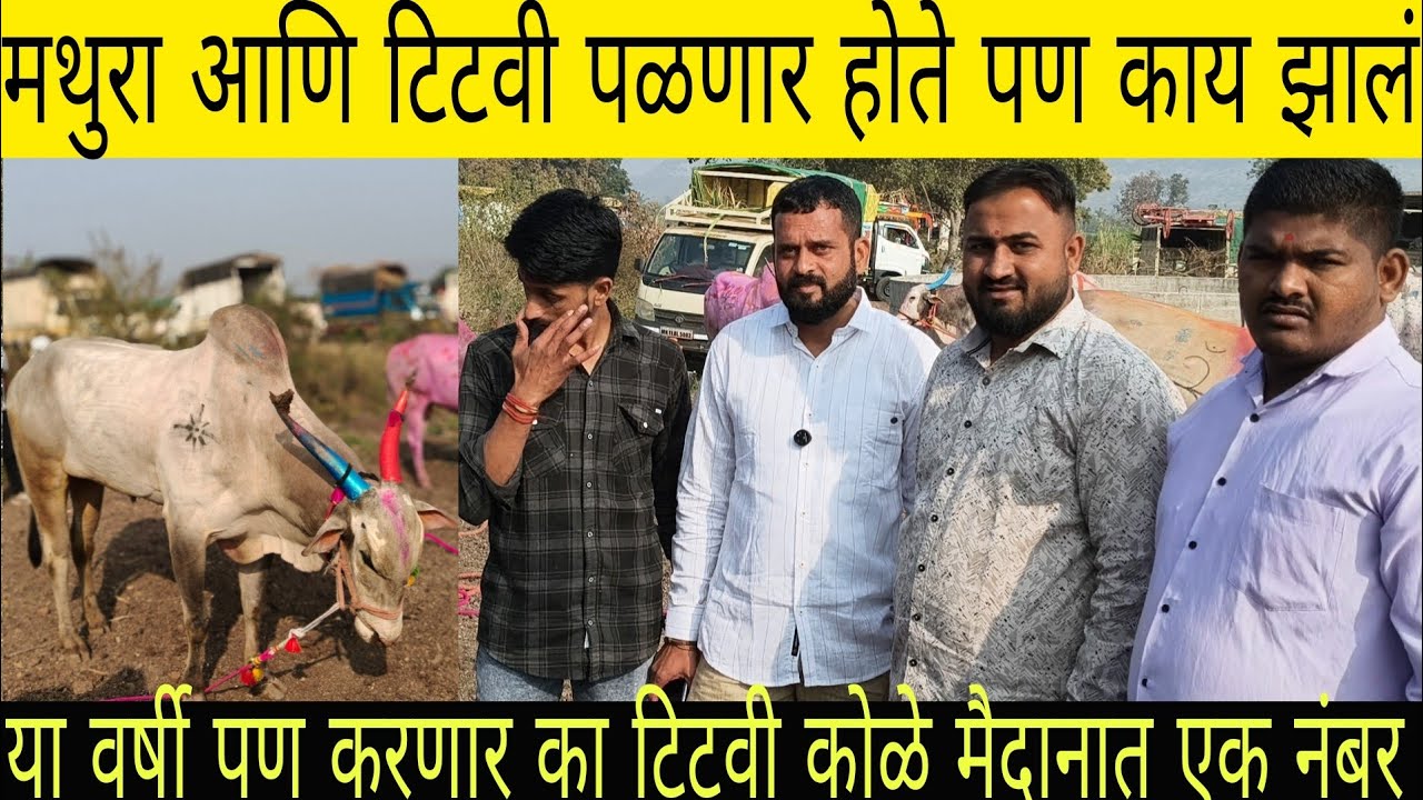 मथुर आणि टिटवी पळणार होती पण अचानक पैरा झाला आणि...