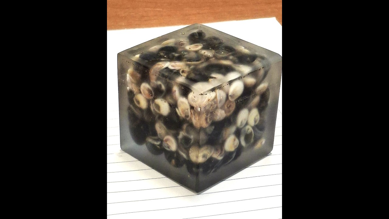 V359 CUBO FERMACARTE IN RESINA E CONCHIGLIE FAI DA TE -  DIY Resin and Shell Paperweight Cube