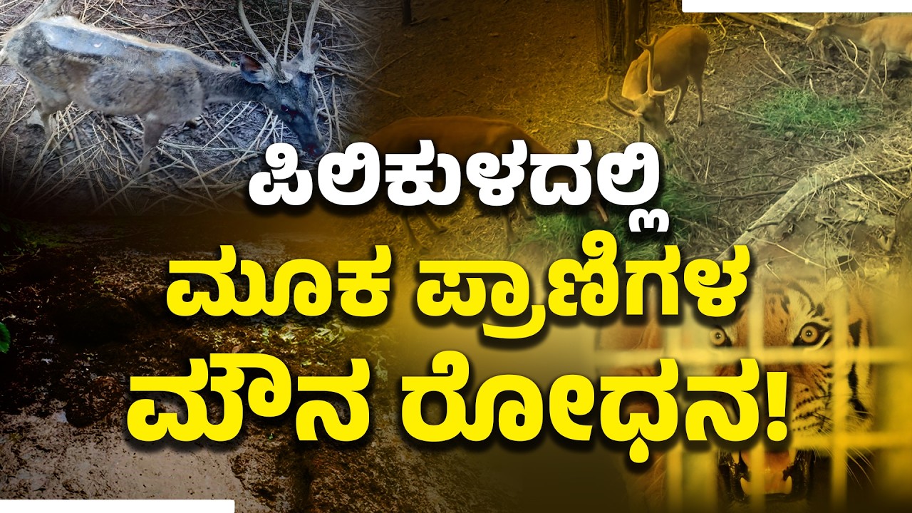 ಕಣ್ಣೀರು ತರಿಸುವಂತಿದೆ ಪಿಲಿಕುಳ ಮೃಗಾಲಯದ ಪ್ರಾಣಿಗಳ ಸ್ಥಿತಿ! High Court Flags Poor Conditions at PilikulaZoo