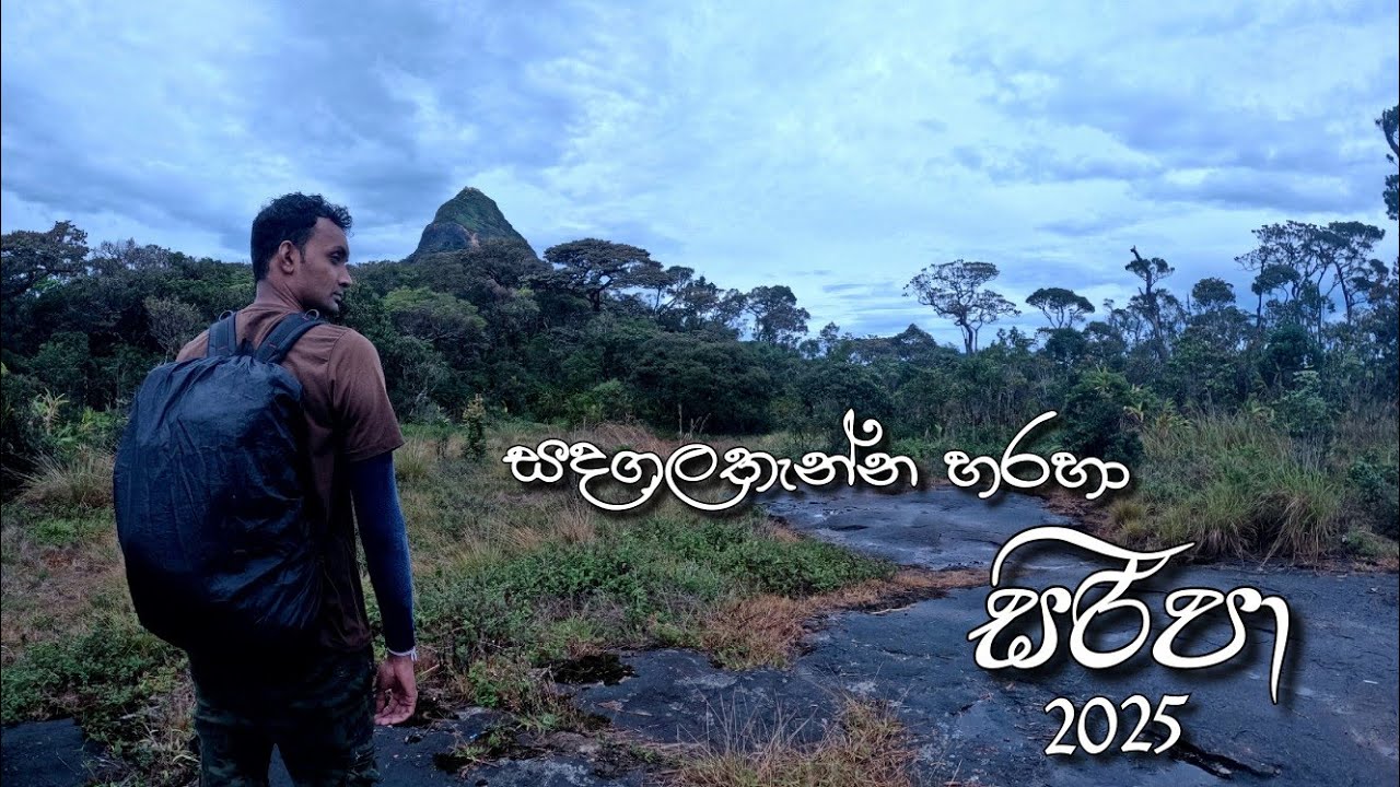 වැස්සෙම සදගලතැන්න හරහා සිරිපා 2025 | Sandagala Thanna | Sripada | Adam's Peak | Peak wilderness
