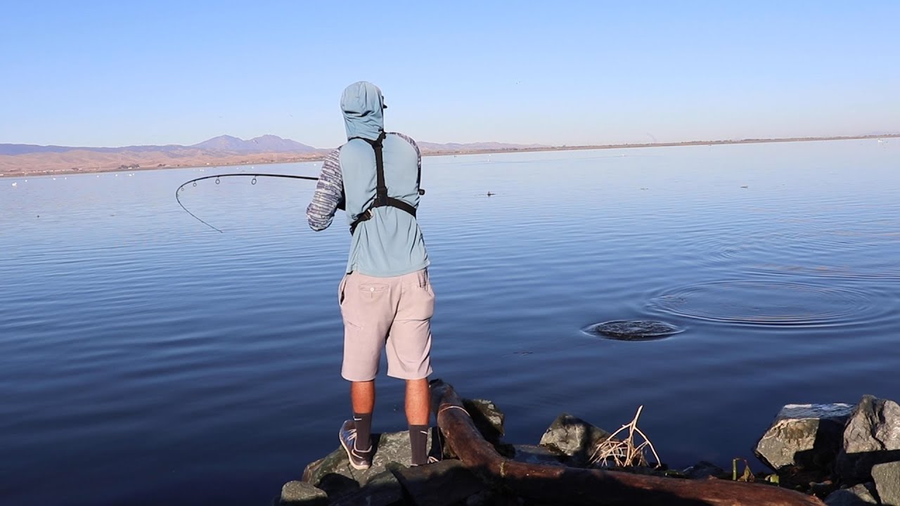EPIC TOPWATER BLOWUPS - Chasing Striper Boils