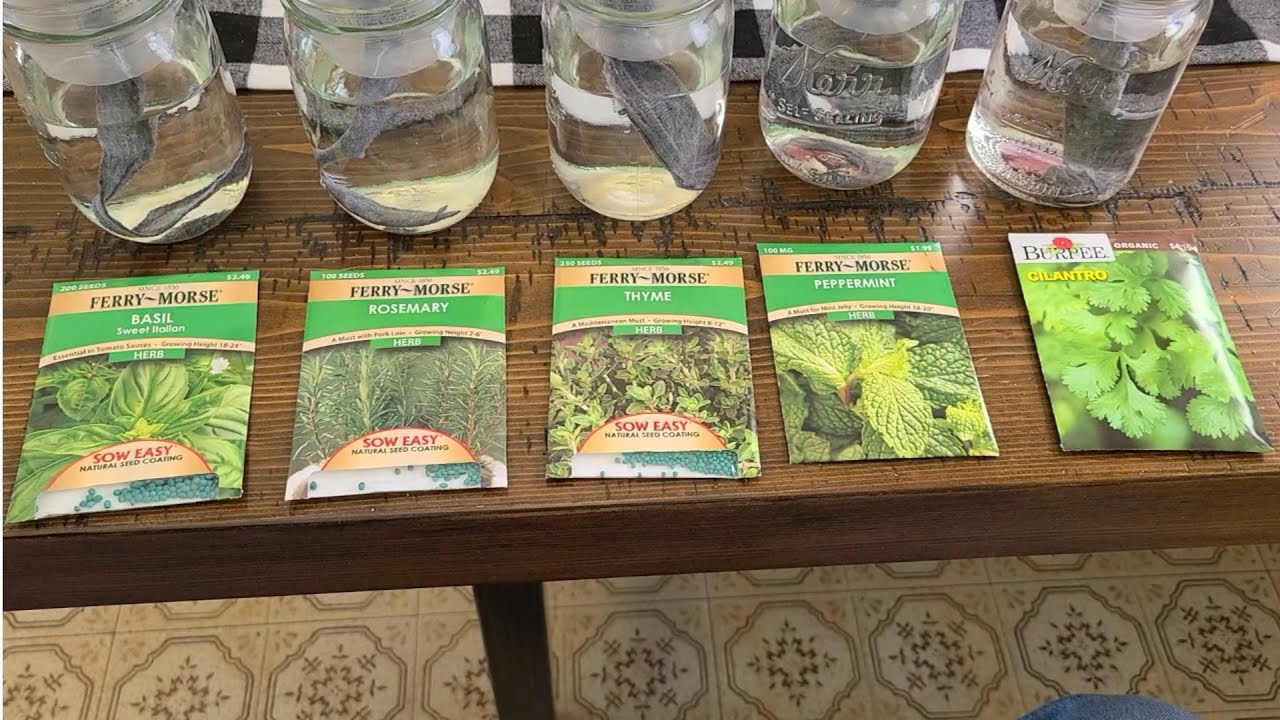 Redneck Hydroponic Window Herb Garden