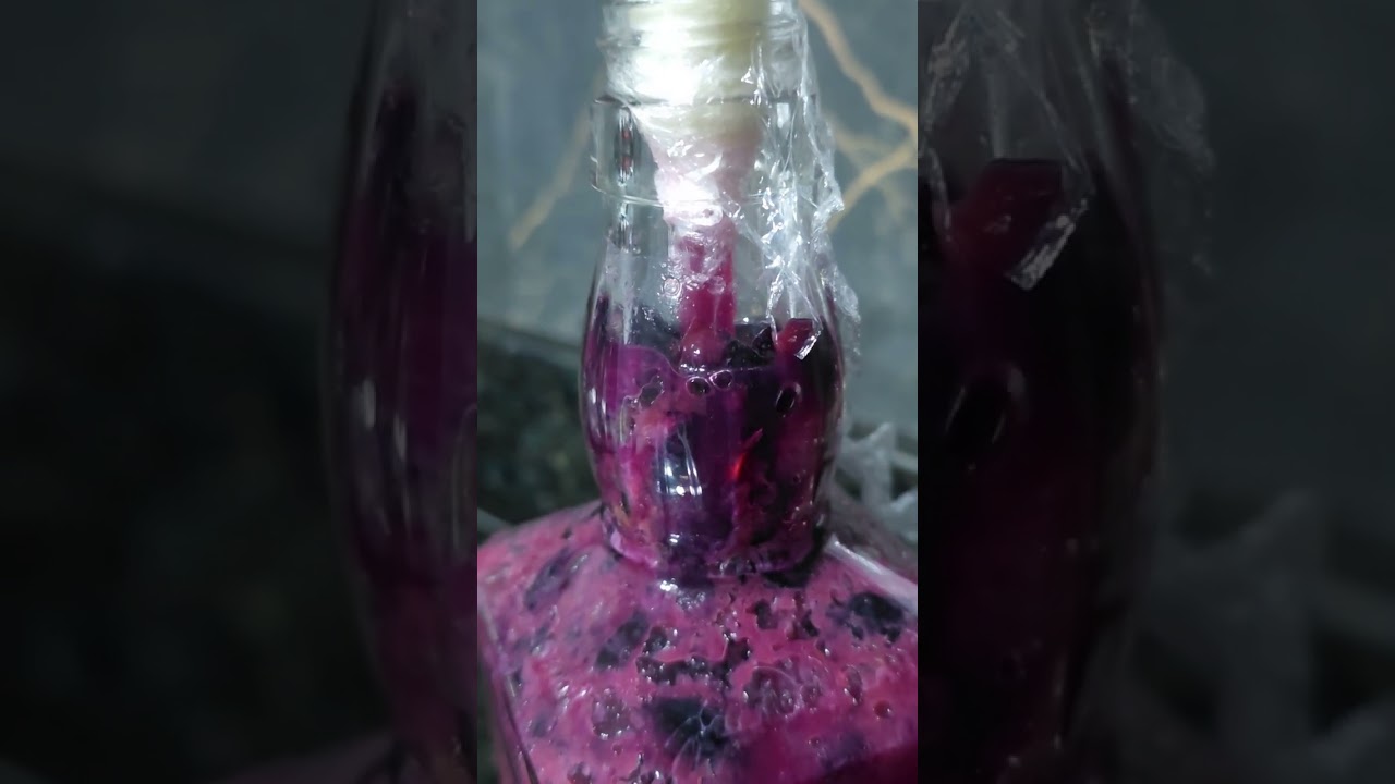 Como fazer VINHO em casa!