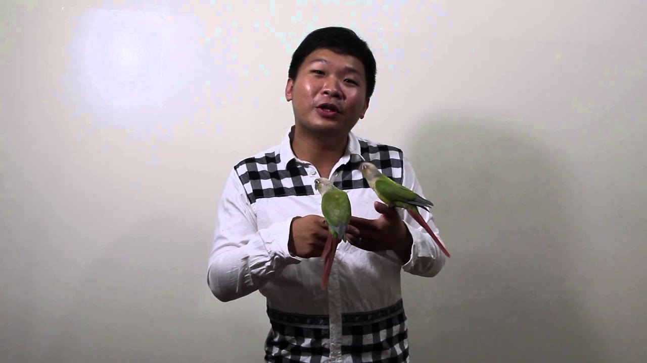 走失防範訓練（非放飛訓練）