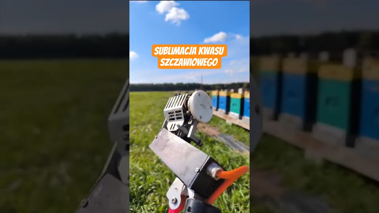 Sublimacja kwasu szczawiowego - skuteczna metoda zwalczania warrozy.