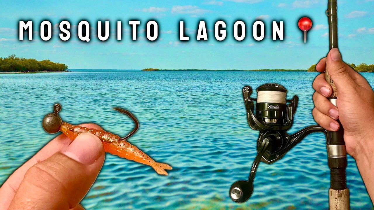 Зимняя рыбалка в Москитной лагуне (РЫБА ПОВСЮДУ!)