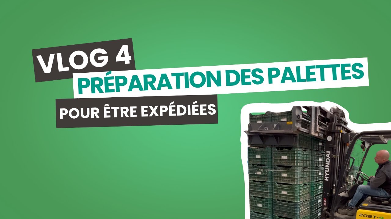 VLOG 4 / Préparation des palettes pour être expédiées