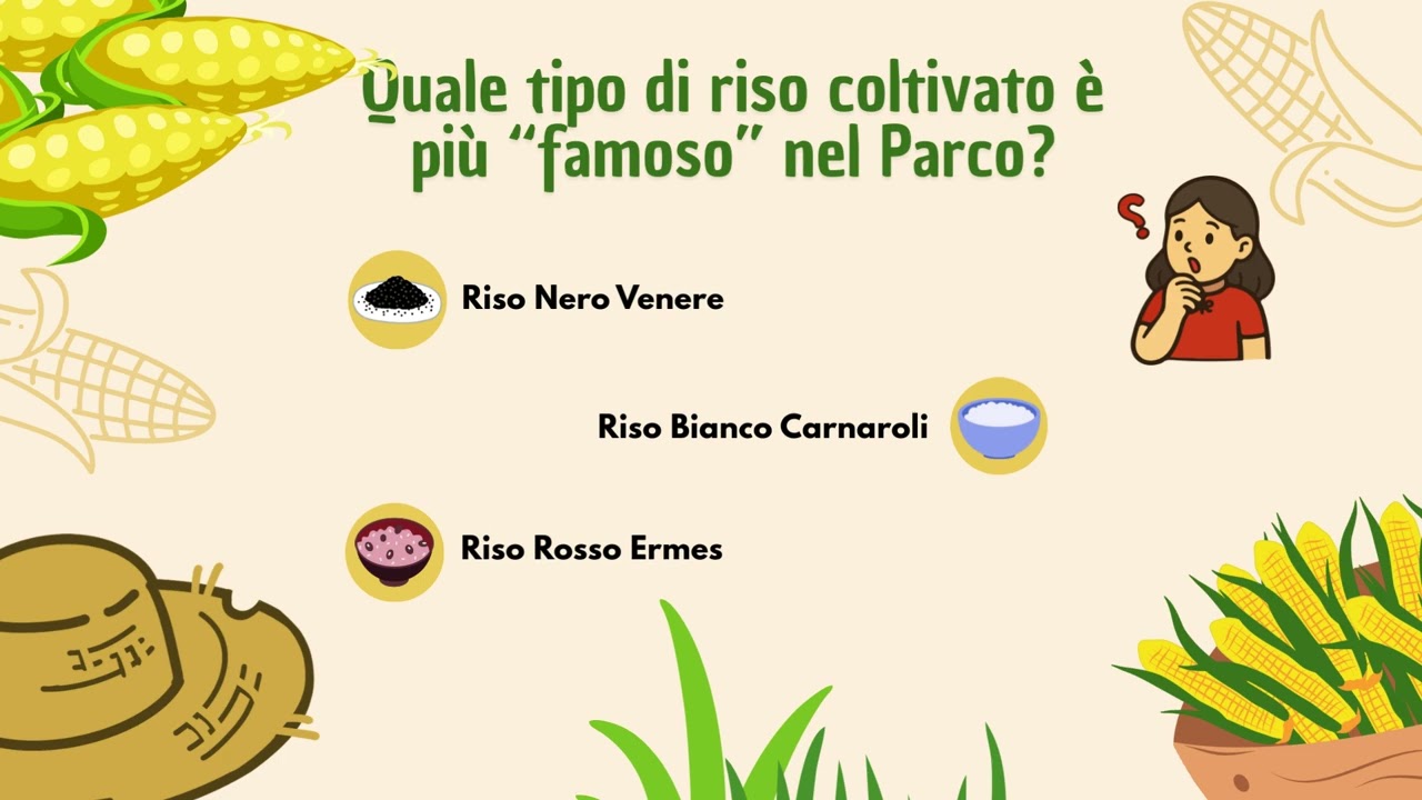 👧🌿🦉 PARCO LEARNING: Le risaie👦💧🦋