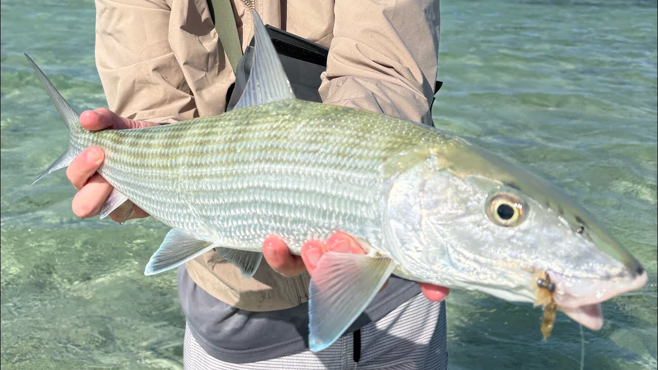 Fly Guide Byron fishing for Bonefish