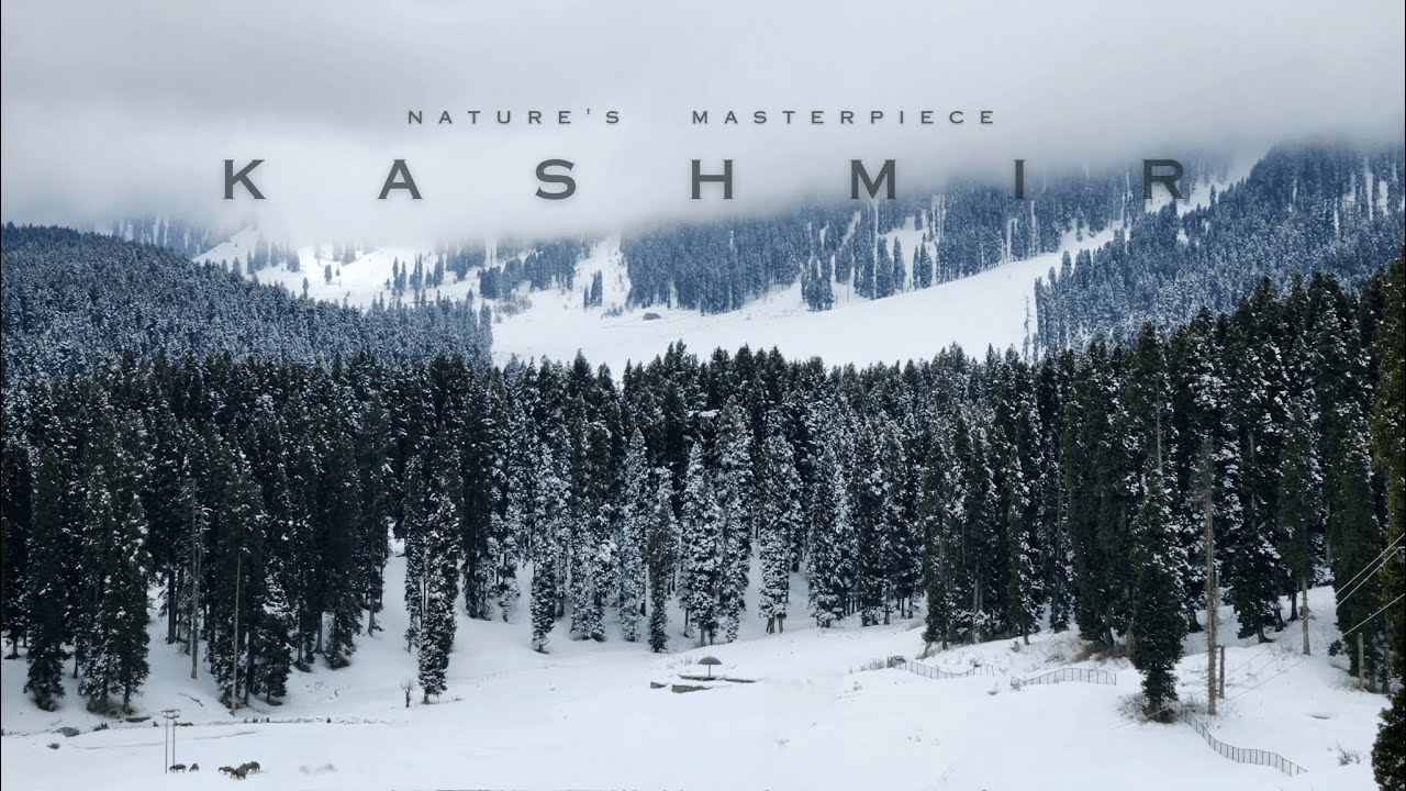 A Journey to Kashmir in Winters! | Nature's Finest Artwork