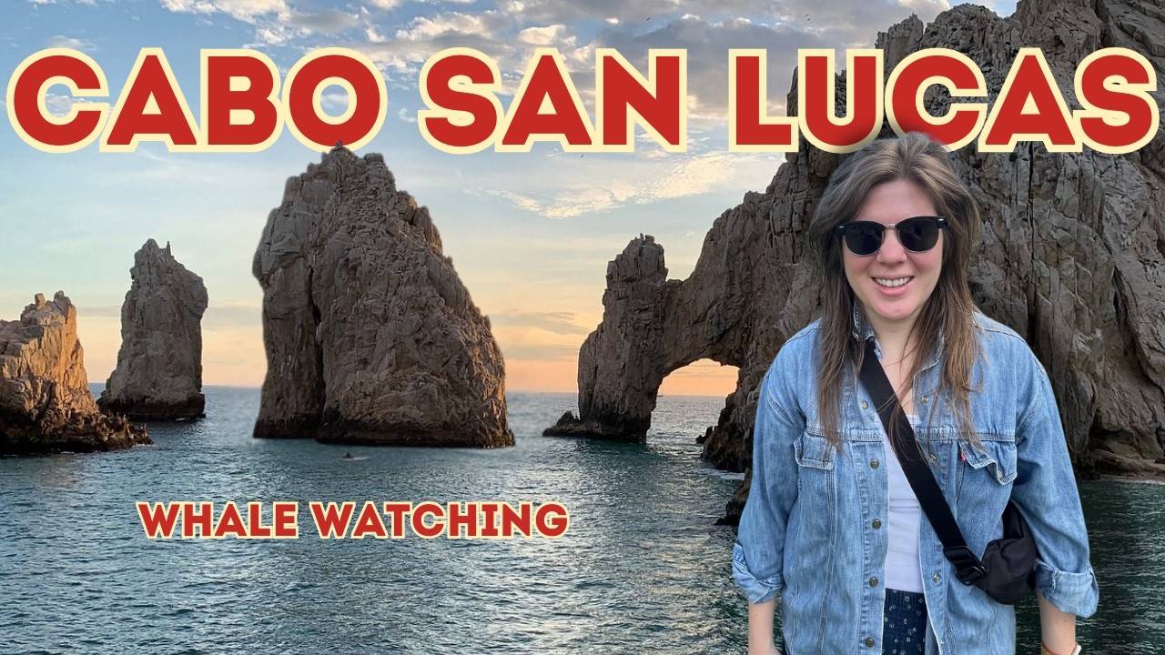 We Went Whale Watching in Cabo San Lucas!