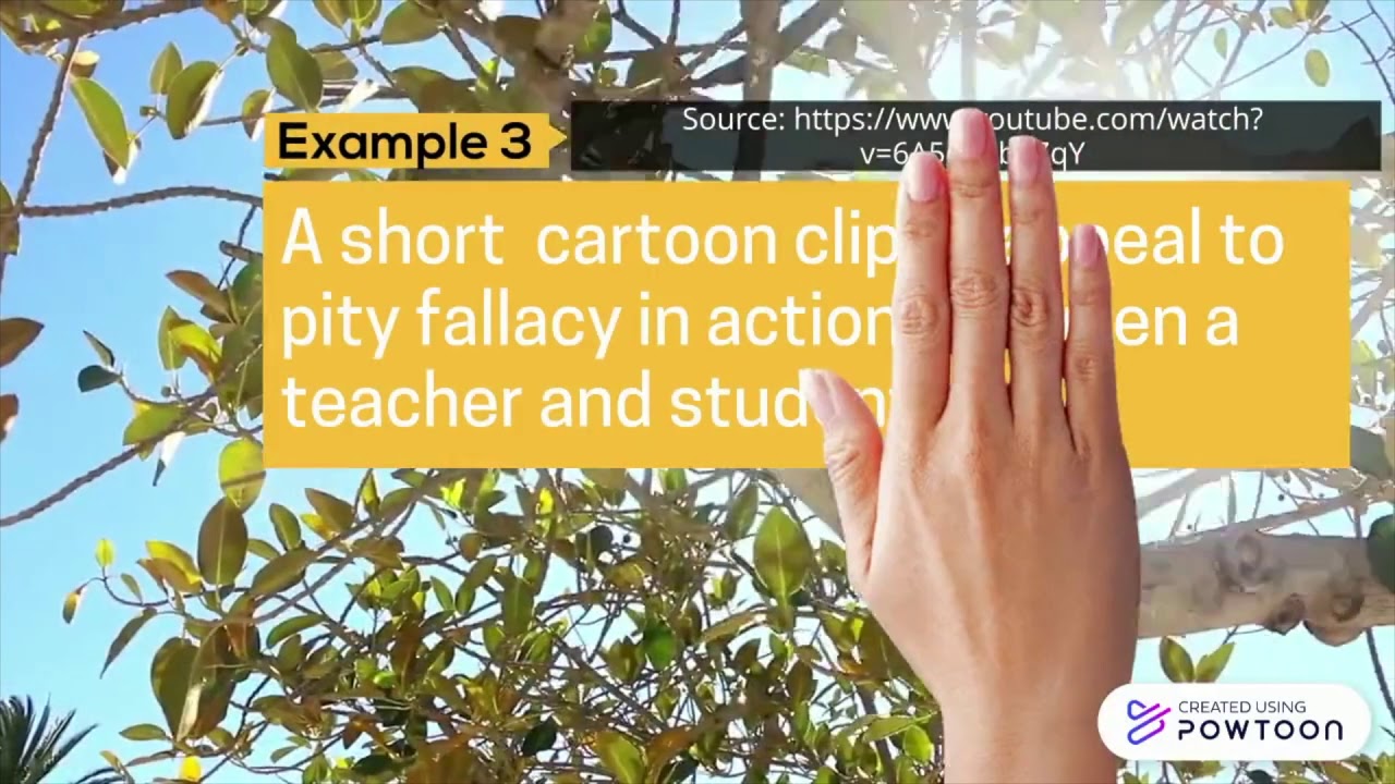 Appeal to Pity Fallacy (Anthony Nguyen)