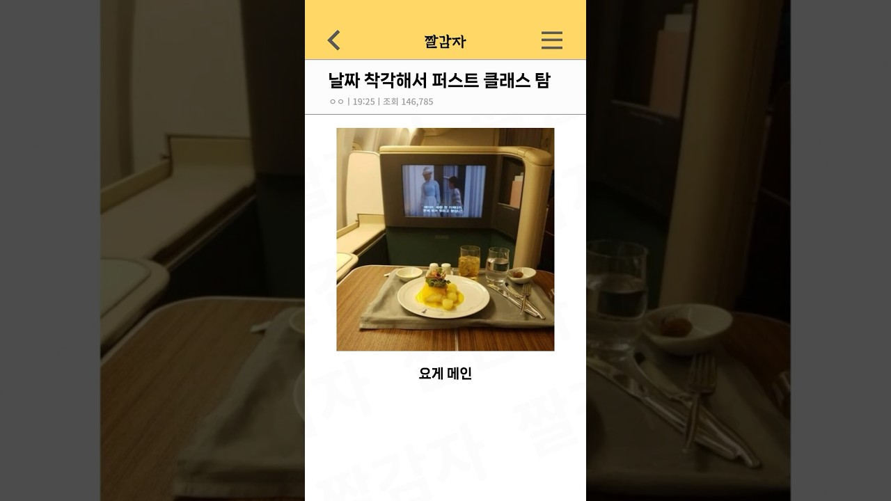 비행기 날짜 착각해서 퍼스트 클래스 탐