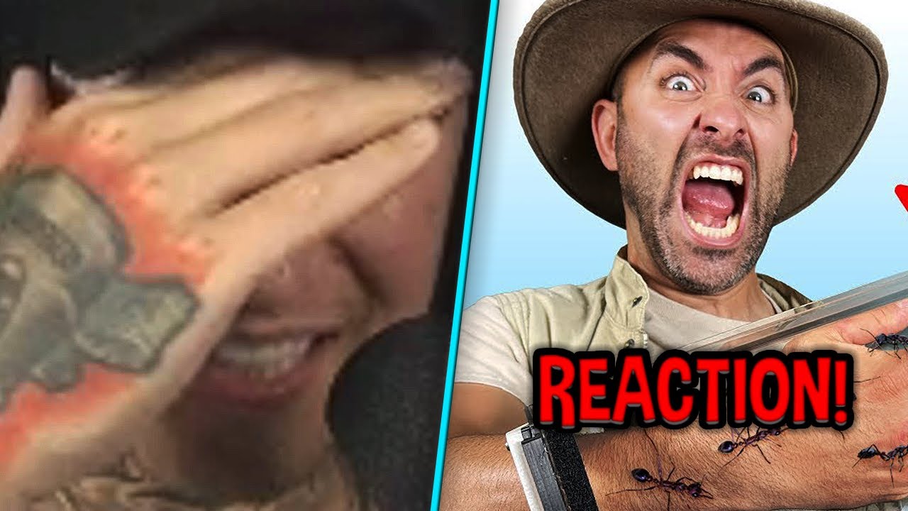 Er lässt sich ABSICHTLICH STECHEN.. 😱😬 Brave Wilderness Reaktion | MontanaBlack Reaktion