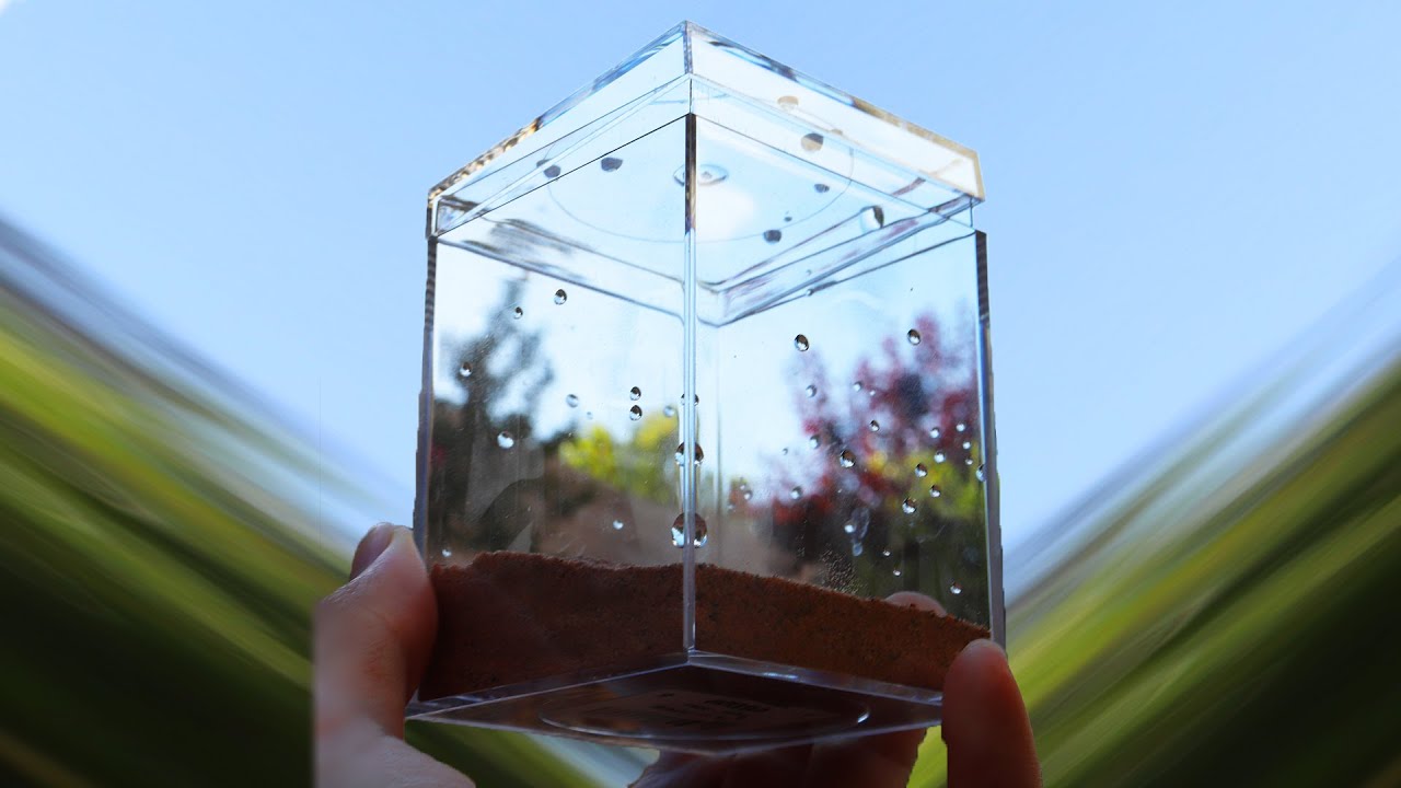 i made TINY Ant Farms