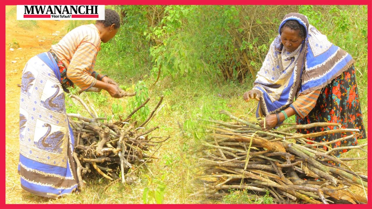 Wanawake Handeni wasimulia maswahibu utafutaji kuni, ugumu kutumia nishati safi