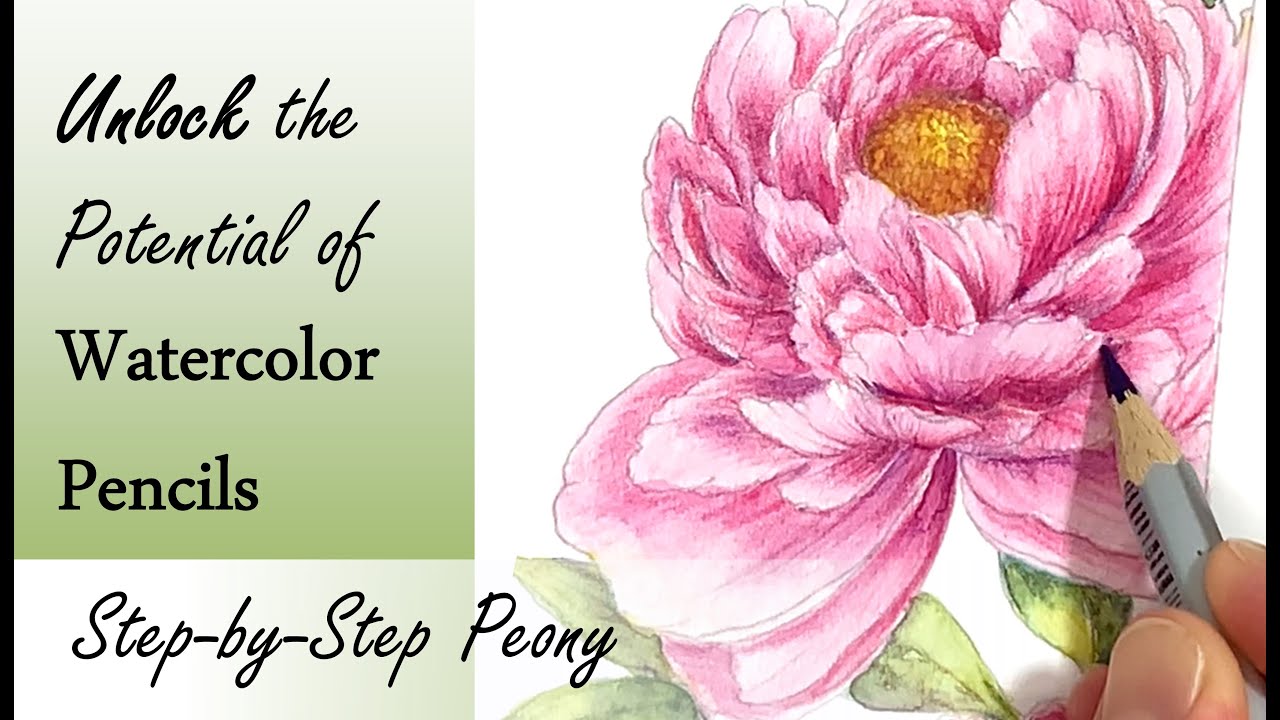 Realize the Full Potential of Watercolor Pencils: Tips and Techniques for Adult Coloring Books