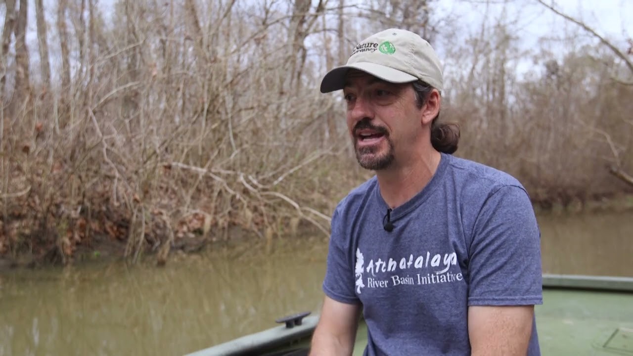 Atchafalaya River Basin: America's Largest Wetland