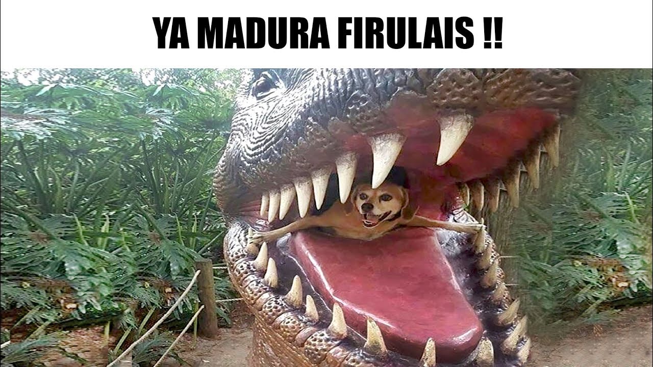MEMES RANDOM #99