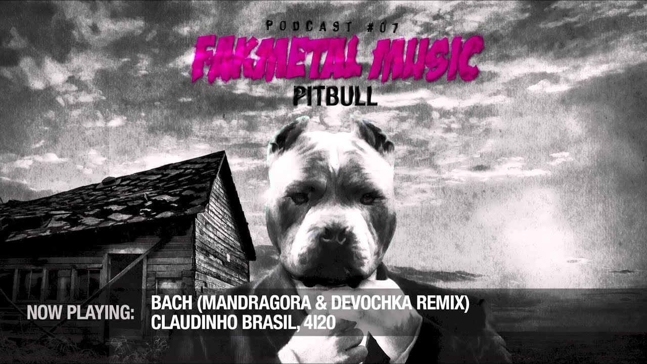 Chris Lawyer - Fakmetal Music #7 The Pitbull