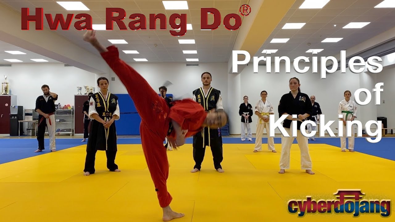 Hwa Rang Do® Seminar - Principles of Kicking w/Grandmaster Taejoon Lee