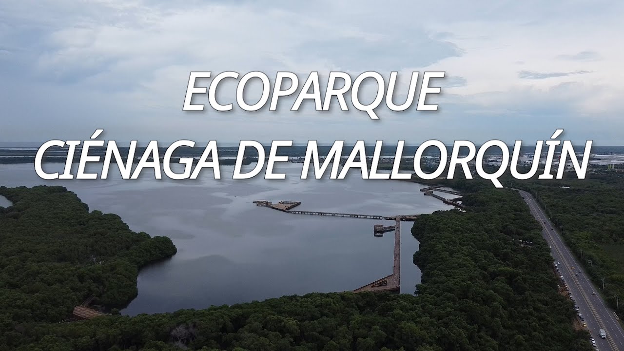 ¿Qué Hacer En BARRANQUILLA? - EcoParque Ciénaga De Mallorquín