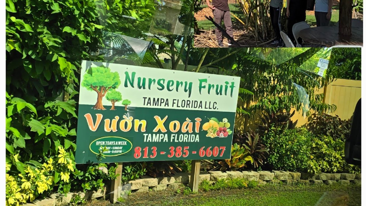 Vườn trái cây tại Tampa 