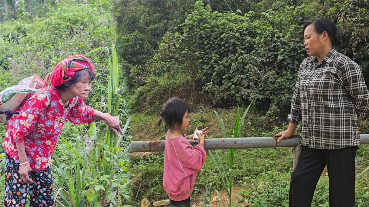 Phuong Anh and her mother help the lost girl find her mother -@PhuongAnhTV-l3m