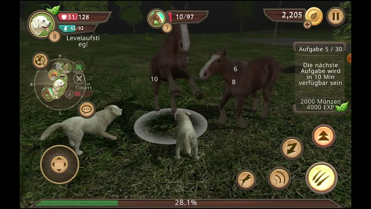 3 Hunde hassen sich [ITSNICO ARCHIV VIDEO]