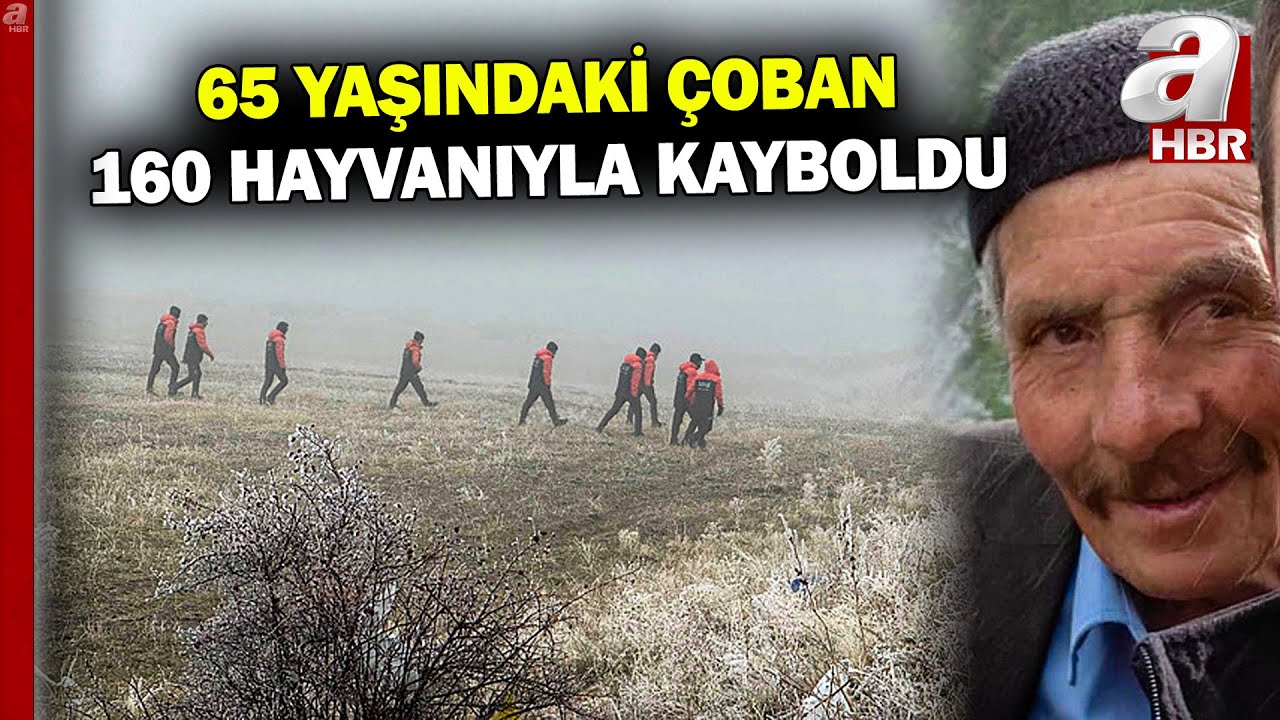 Erzurum'da 65 yaşındaki çoban 160 küçükbaş hayvanıyla kayboldu | A Haber
