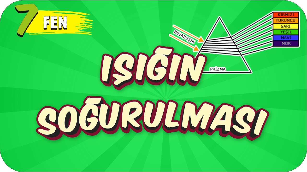7. Sınıf Fen: Işığın Soğurulması #2022