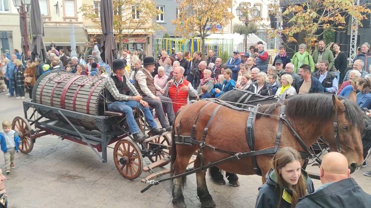 (7) Baurencorso zu Ettelbreck 19.10.2025