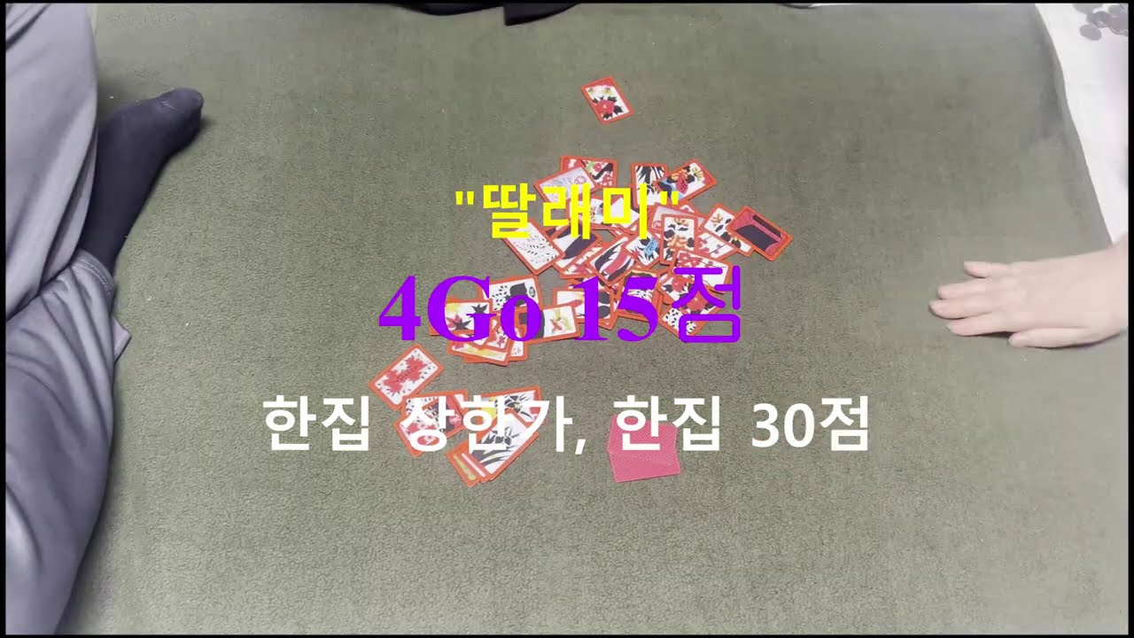 Ggomi_go(꼬미 #고스톱) 260211 (고스톱의 찐재미들...)