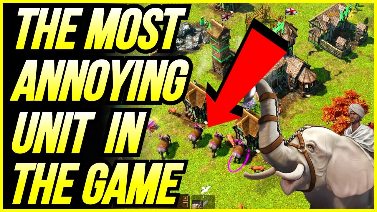 The Least Used Unit, But The Most Annoying! [AOE3]