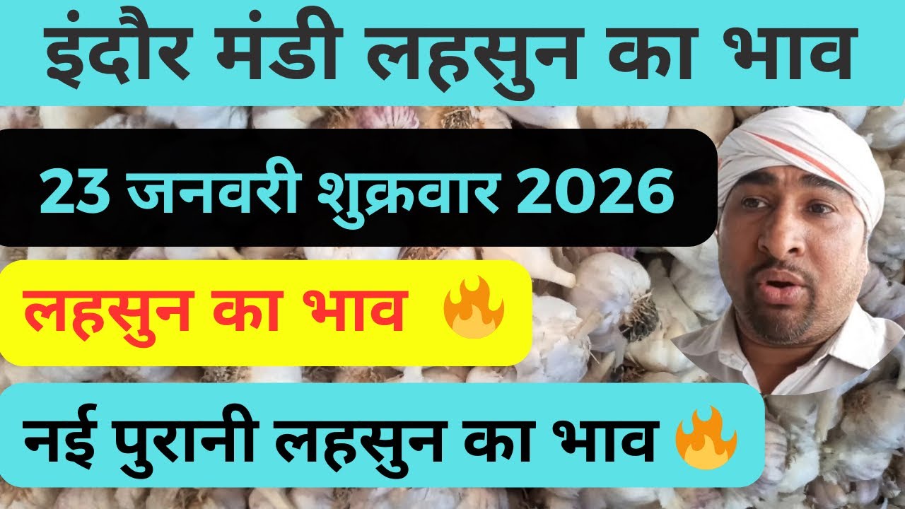 indore mandi lahsun ka bhav          #lahsunaajkabhav  #garlicpricetoday 
