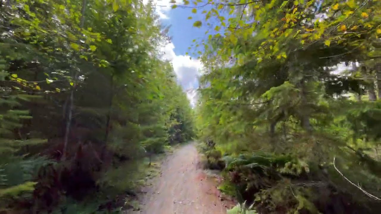 Walking Harewood Plains, Nanaimo Canada | Chill ASMR Forest Hike on Vancouver Island