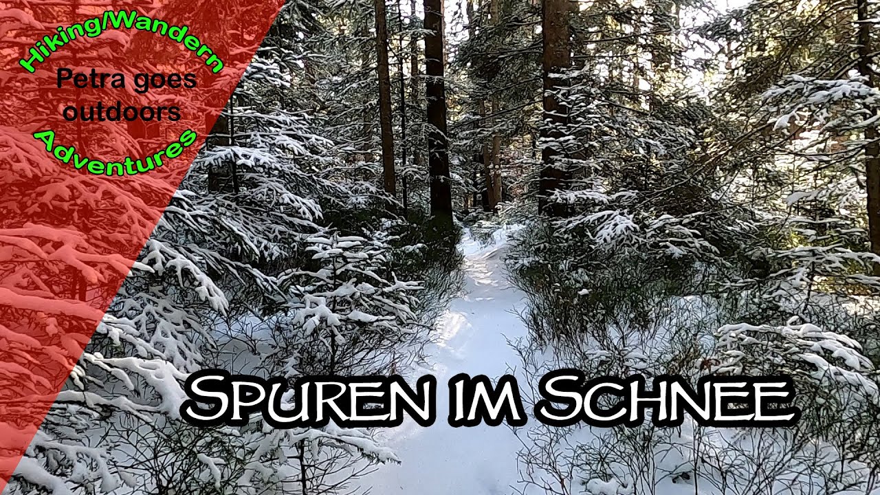 Spuren im Schnee / Ein Winterspaziergang im stillen Wald / ASMR /
