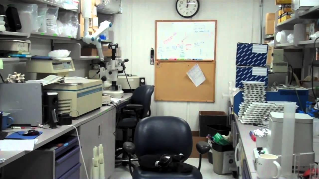 Northeastern Co-op: Antarctica