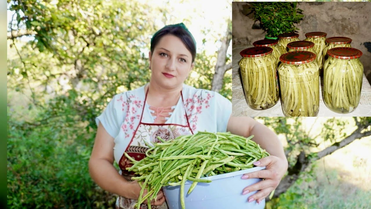 Կանաչ Լոբու Մարինադ -Պահածո-Рецепт маринованной стручковой фасоли на ЗИМУ-Շամշադինի Համը-Шамшадин