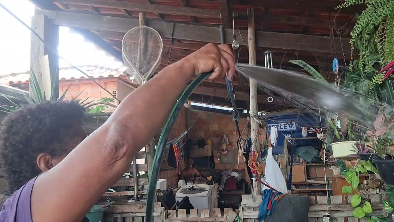 Fiz limpeza no criatorio de lambaris