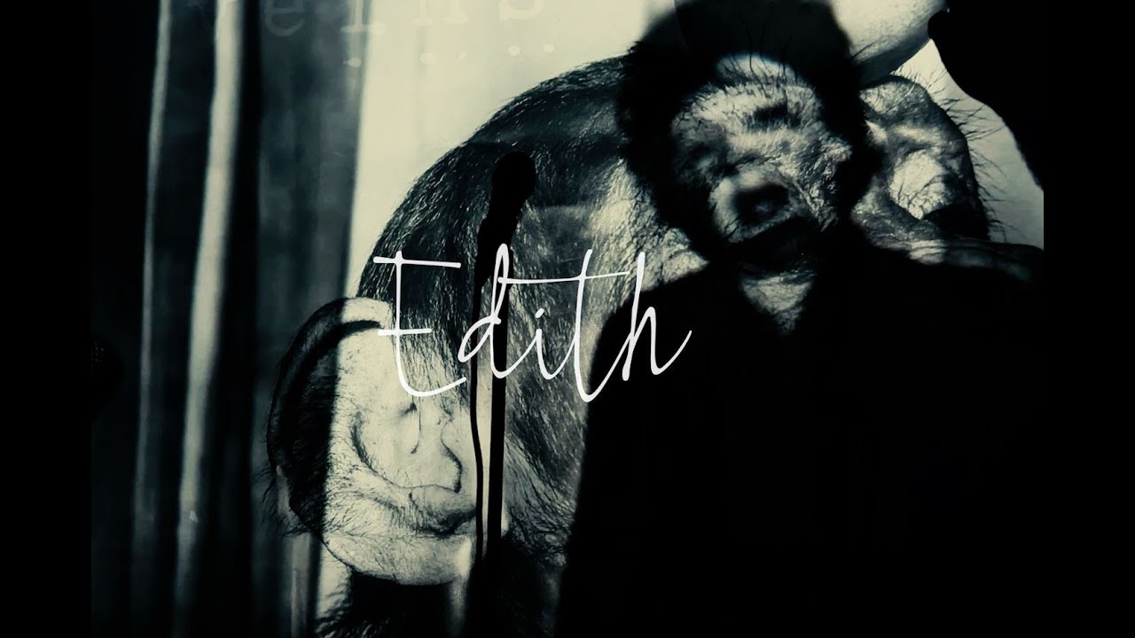 Empty Veins - Edith (Official Video)