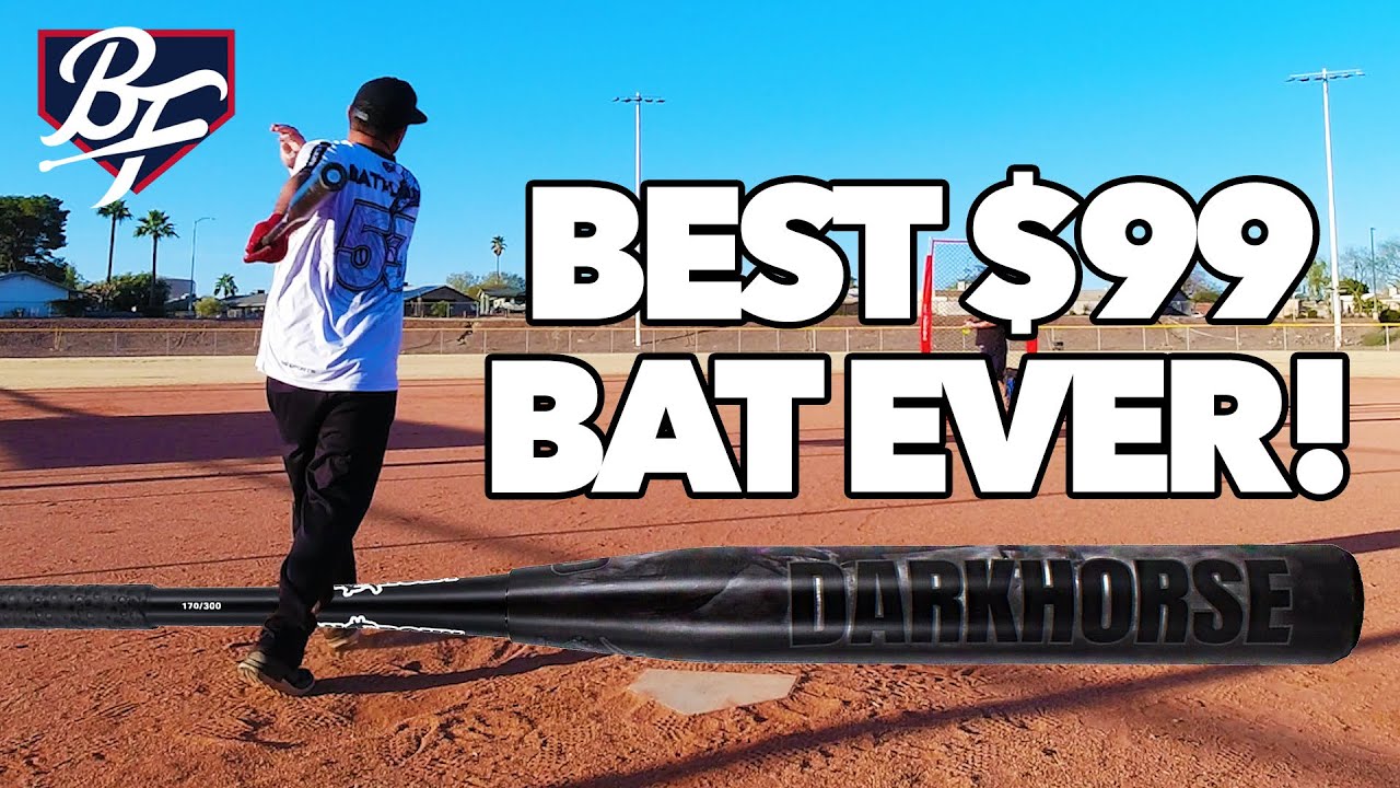 Anarchy Darkhorse SSUSA Senior Bat Review